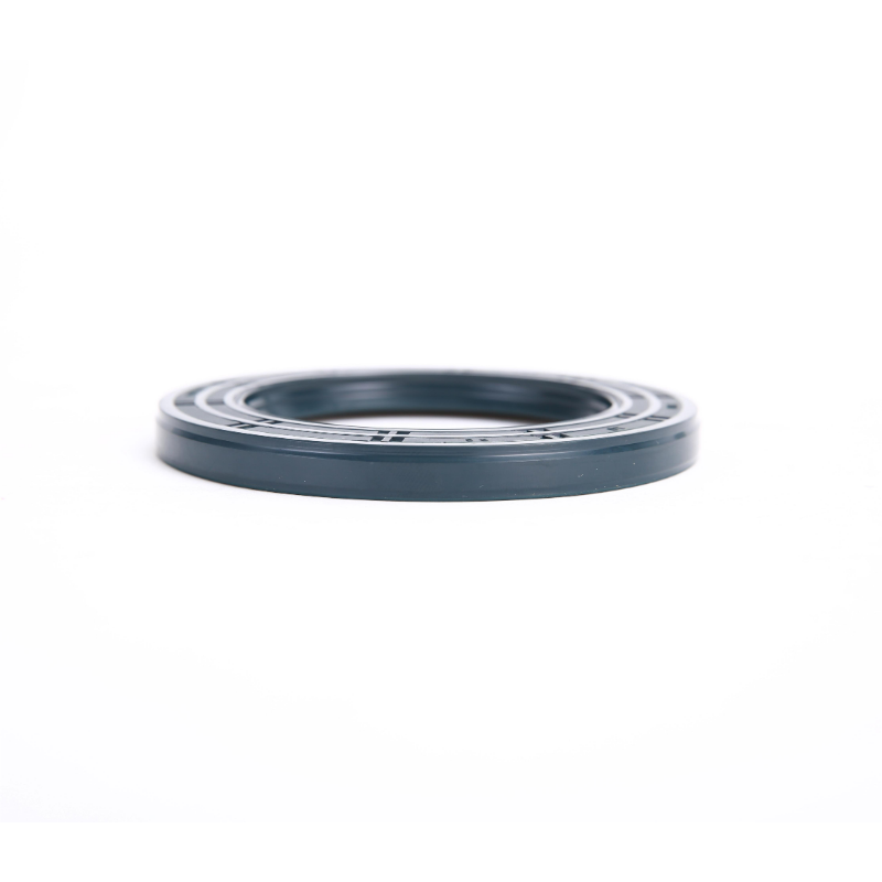 Spedent® O-RING (2)